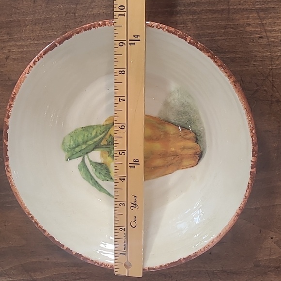 EUC Williams Sonoma Jardin Potager Tomatoes 9" Pasta Bowl - Picture 3 of 5